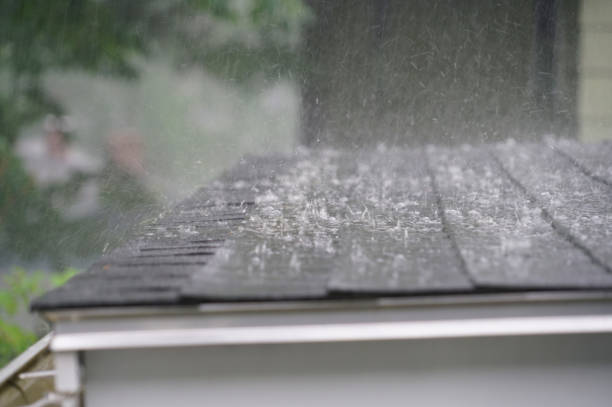Best Asphalt Shingle Roofing  in Lake Summerset, IL