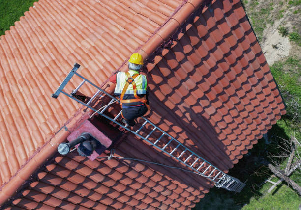Best Gutter Installation and Repair  in Lake Summerset, IL
